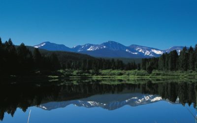 A shot of Marys Pond